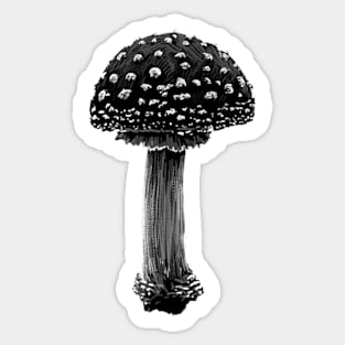 Amanita Muscaria Mushroom (VI) Sticker